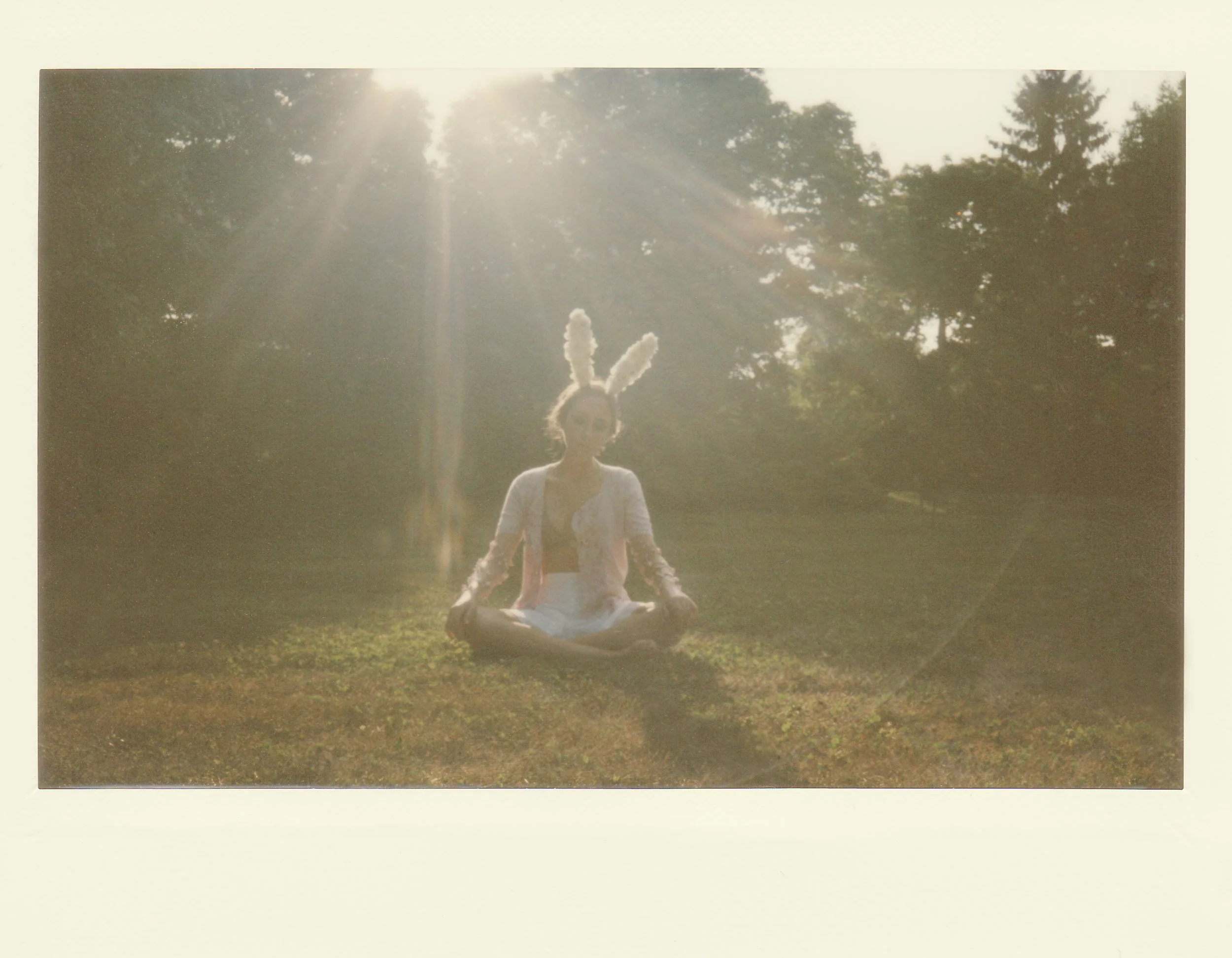 cottontail_meadow_polaroid_1.jpg
