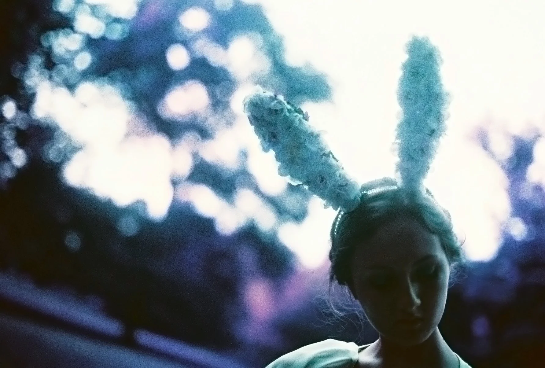 cottontail_meadow_film_6.jpg