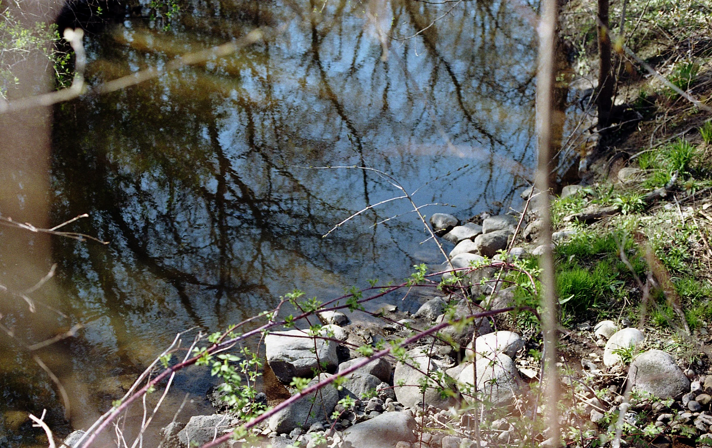 15scattered innocence139 copy300.jpg