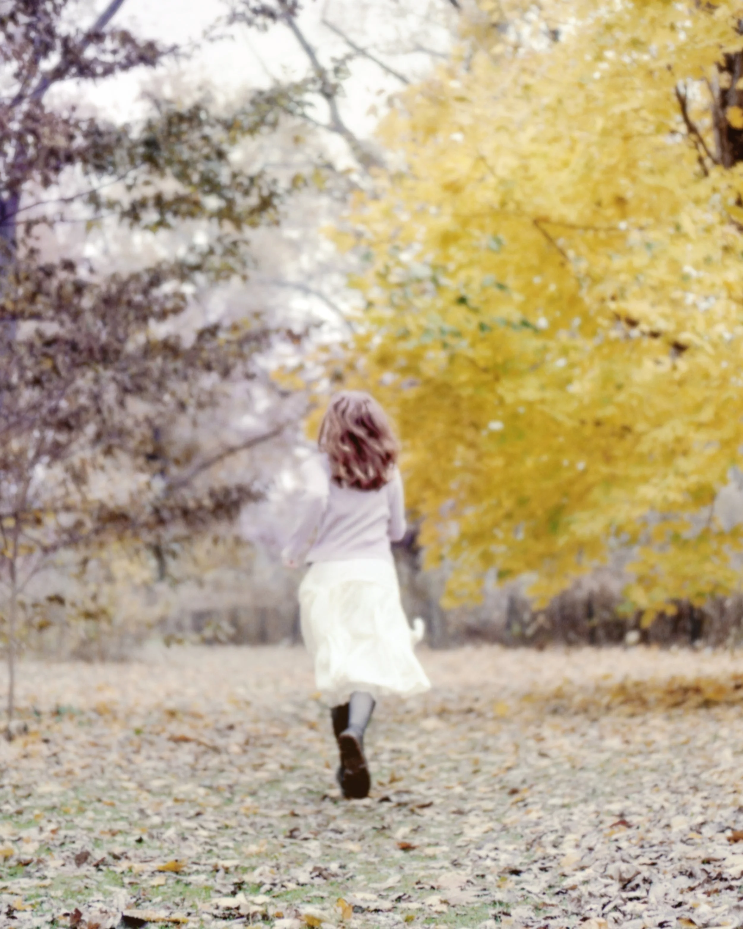 image_060 copy 2.jpg