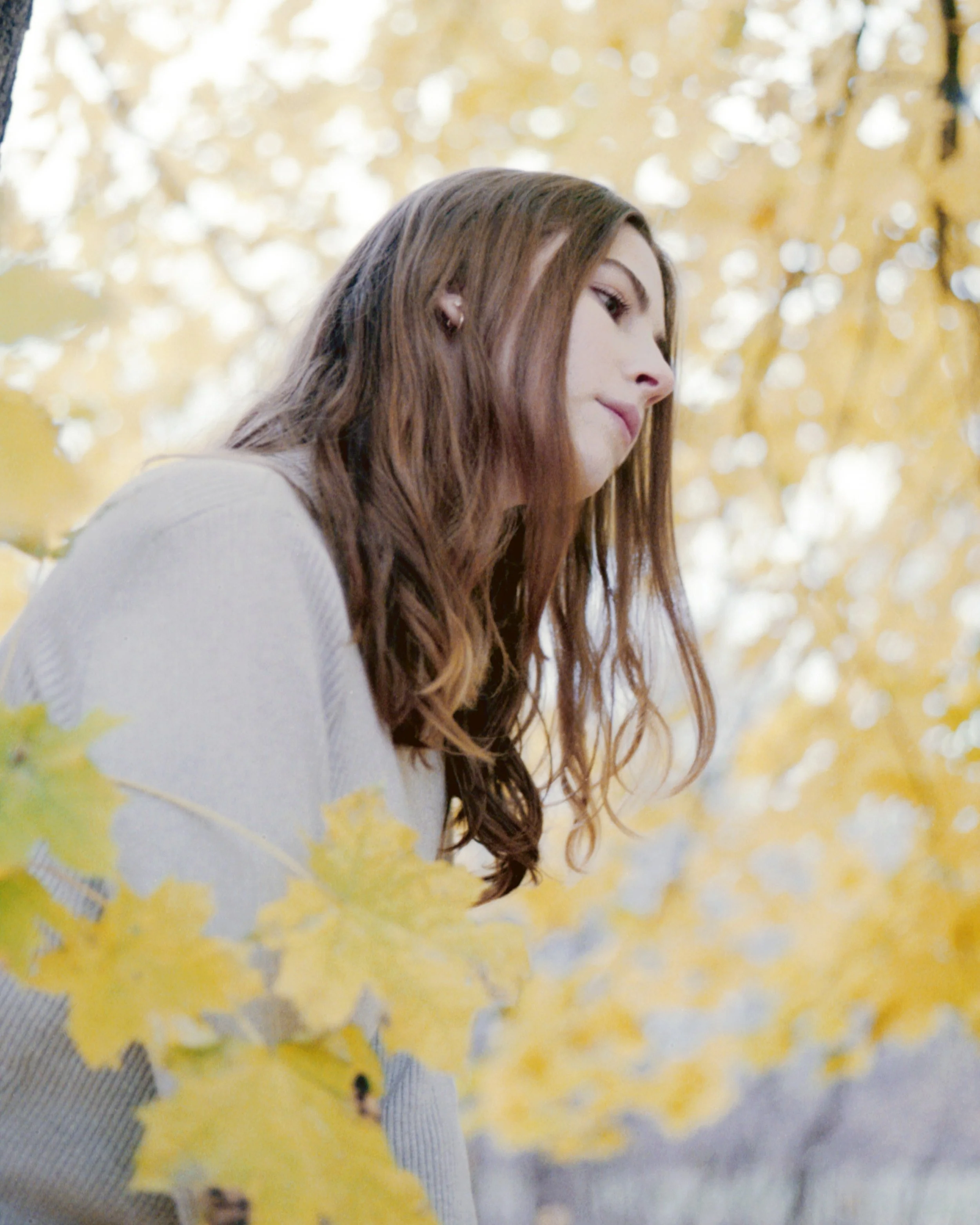 image_013 copy 2.jpg