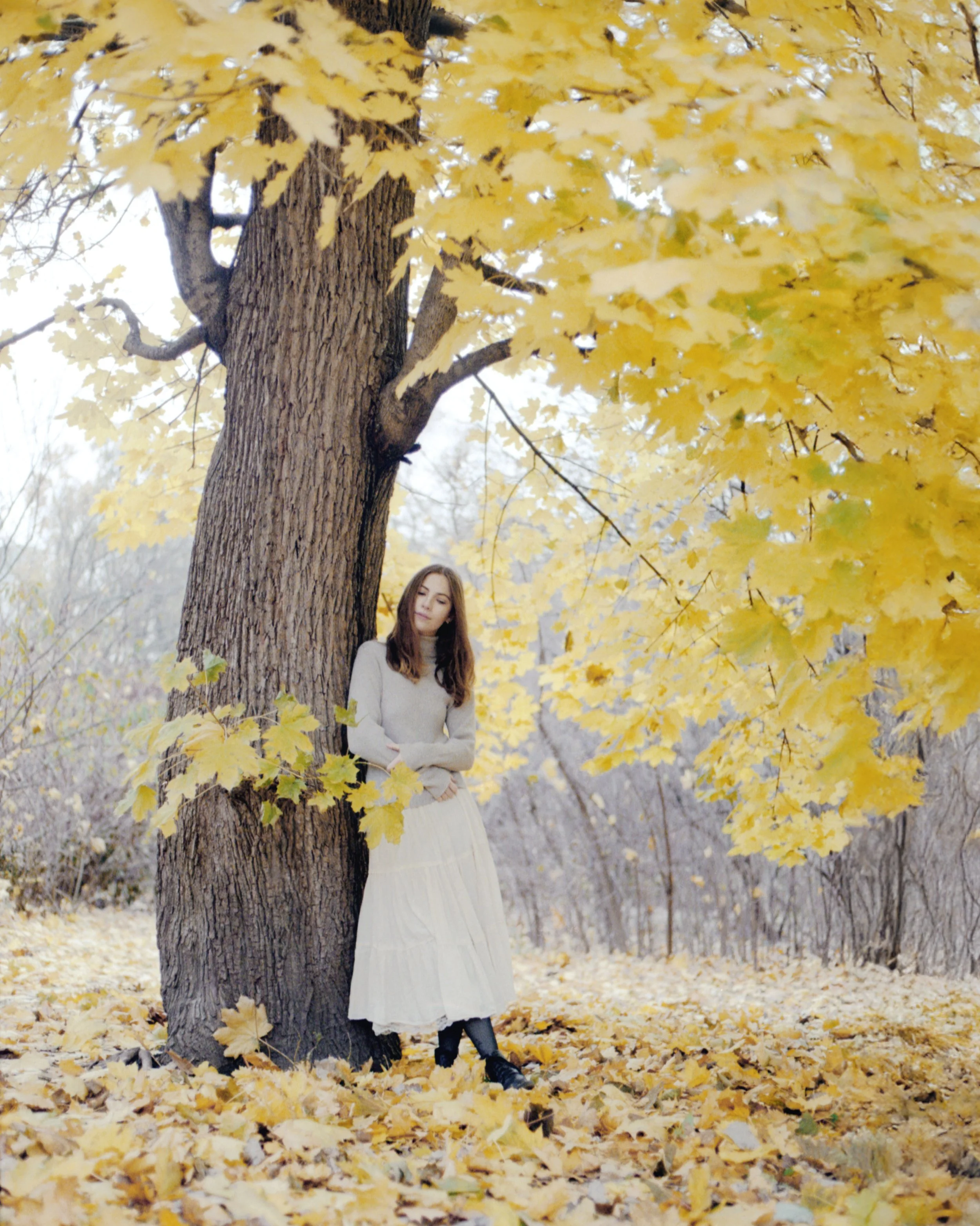 image_034 copy 2.jpg