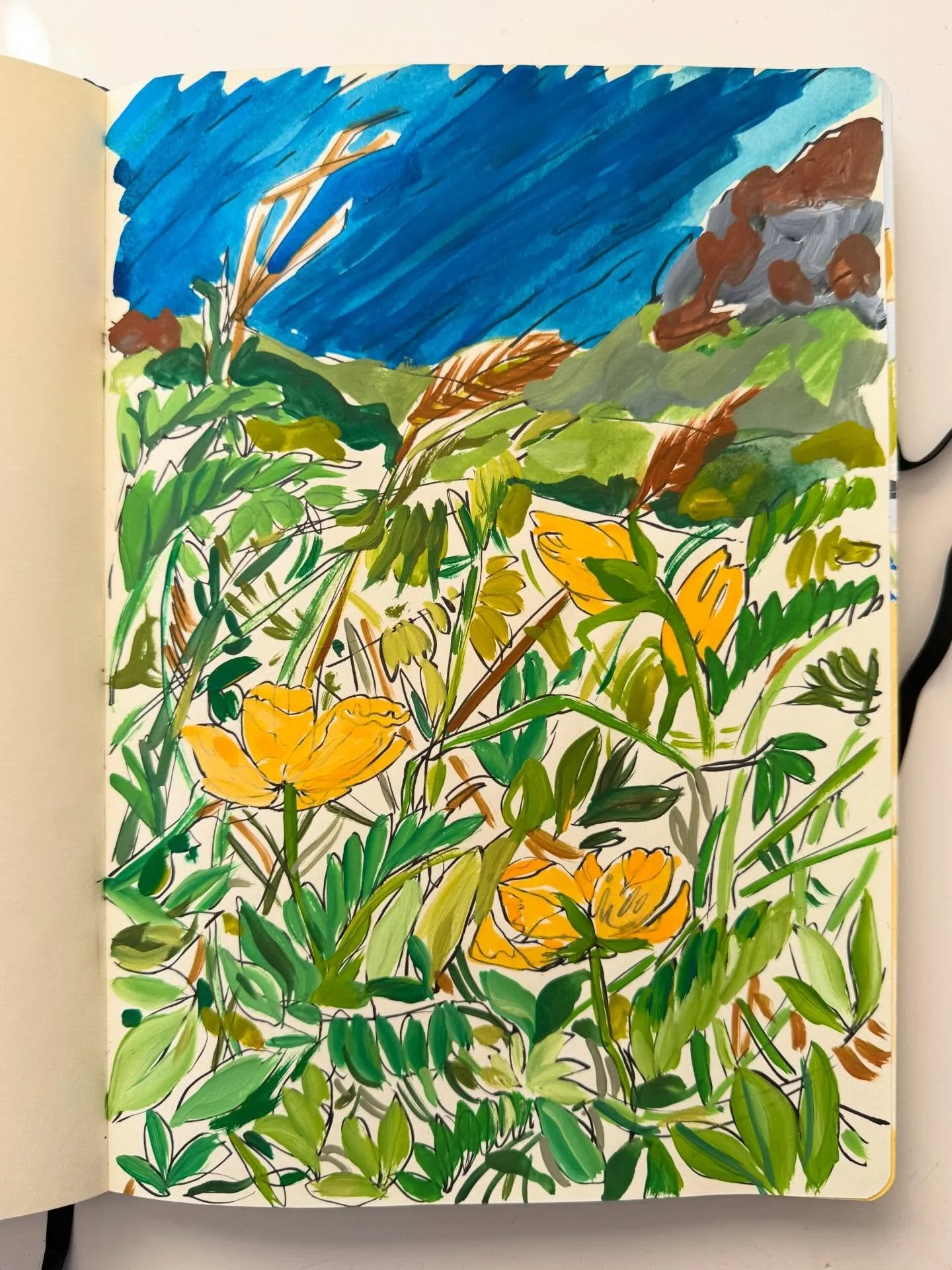 Meadow view 🌼⛰️🌾

#sketchbook 
#gouache 
#flowers