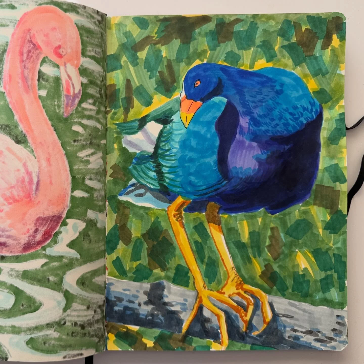 I forgot what of kind bird this was, besides leggy. 

#sketchbook #birdart #markers #drawing #artwork