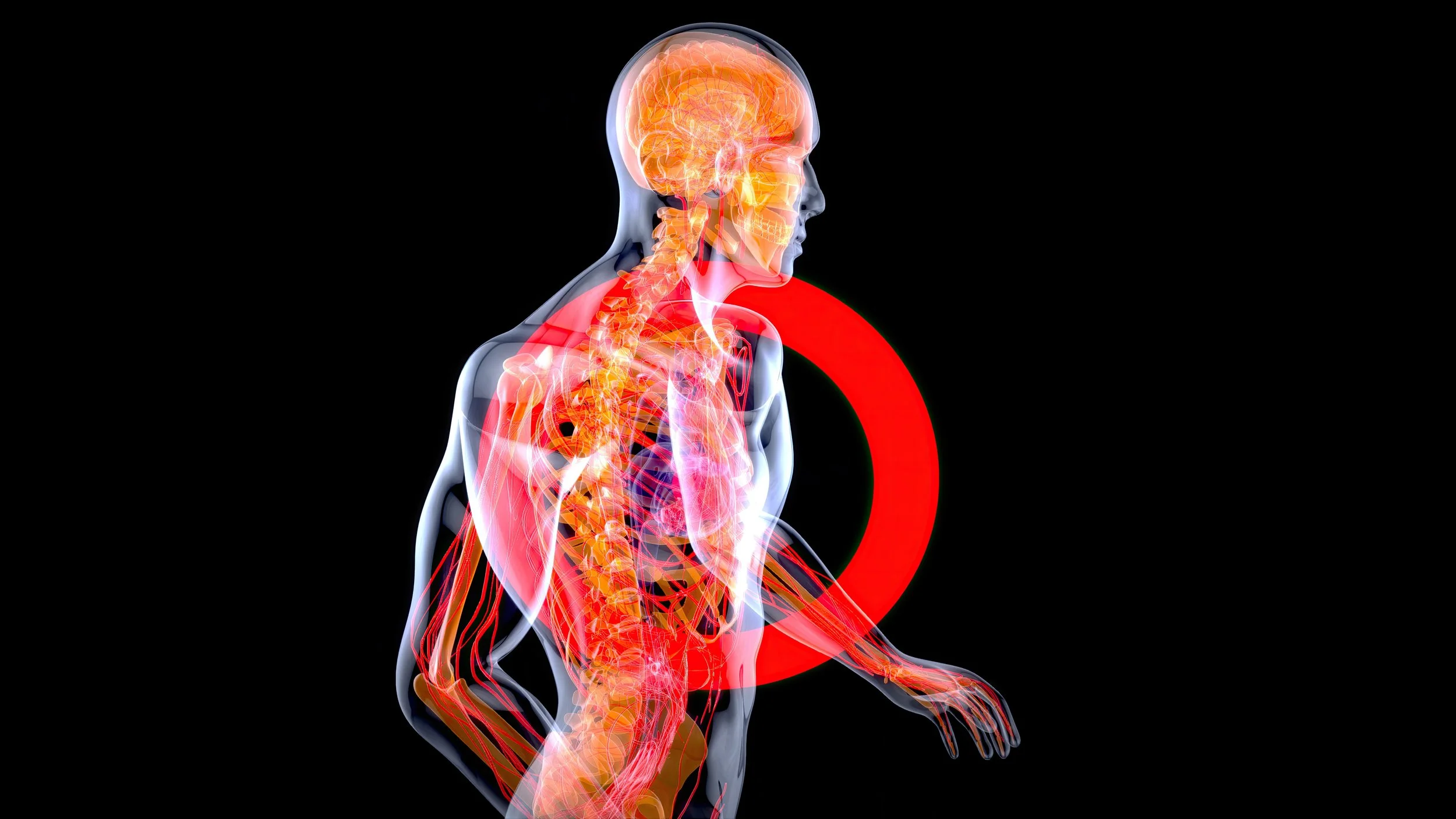 Inflammation - the root cause of aging