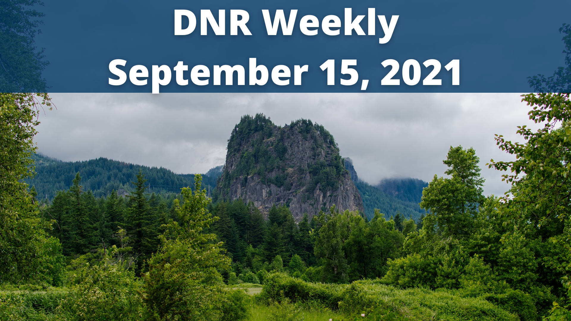 Copy of Copy of DNR Weekly Sept. 15.png