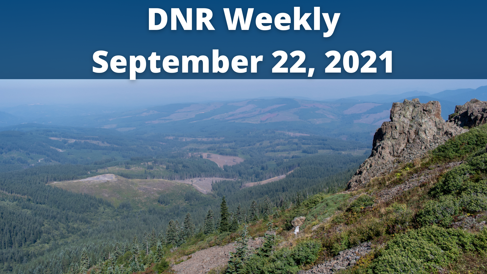 Copy of DNR Weekly Oct 13.png