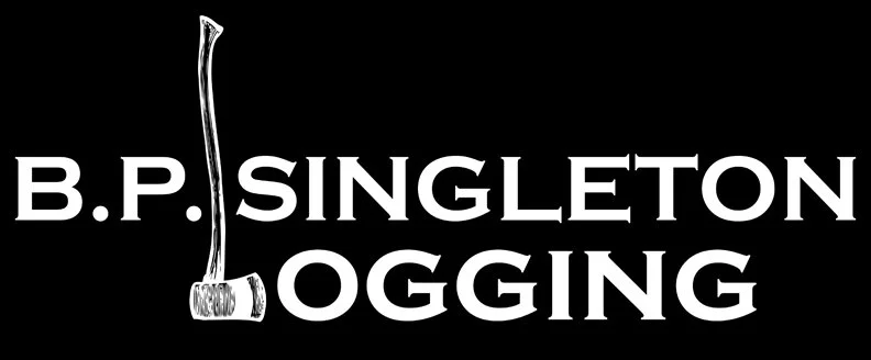 BP Singleton Logging.jpg