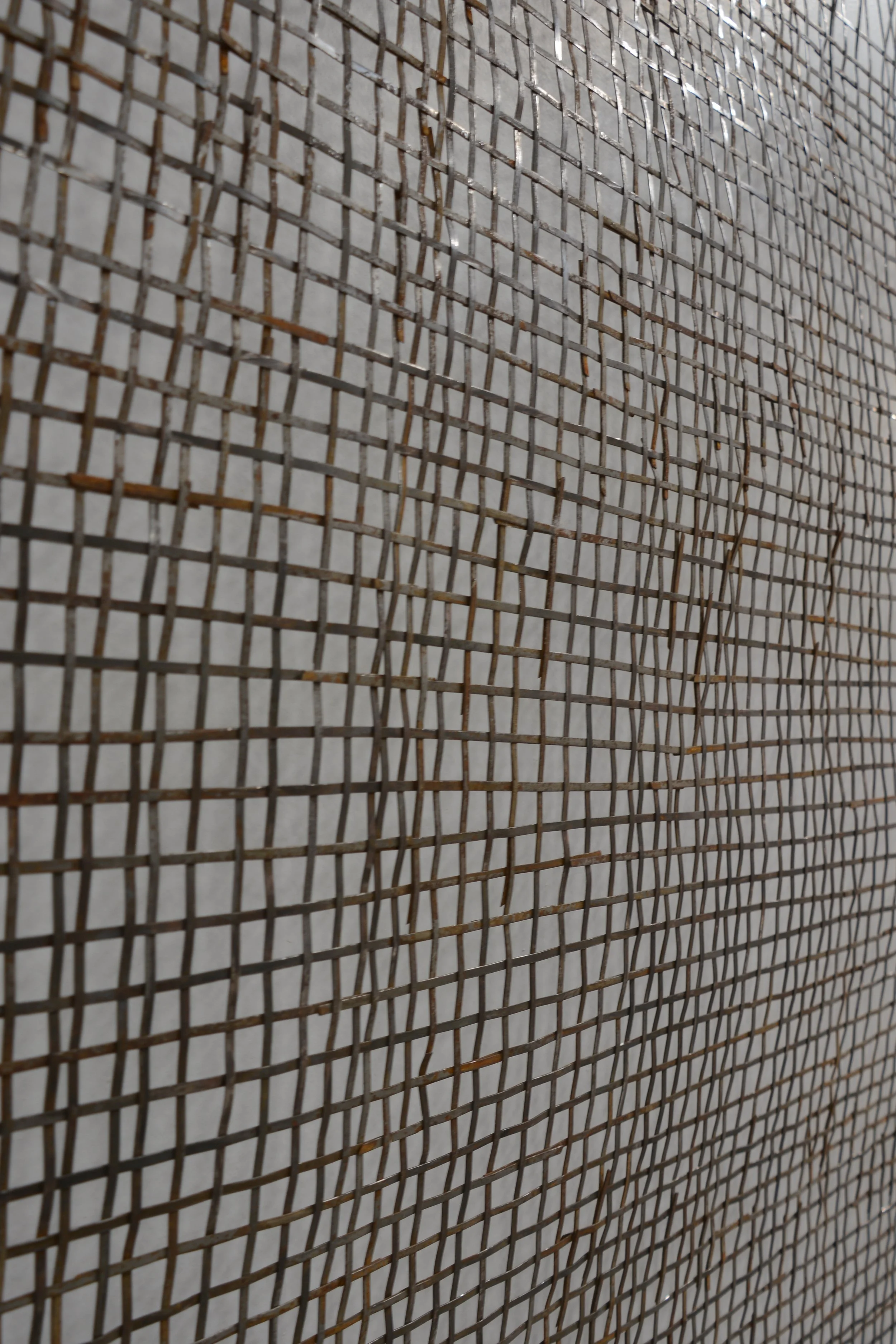 Bristle Weave CloseUp.JPG