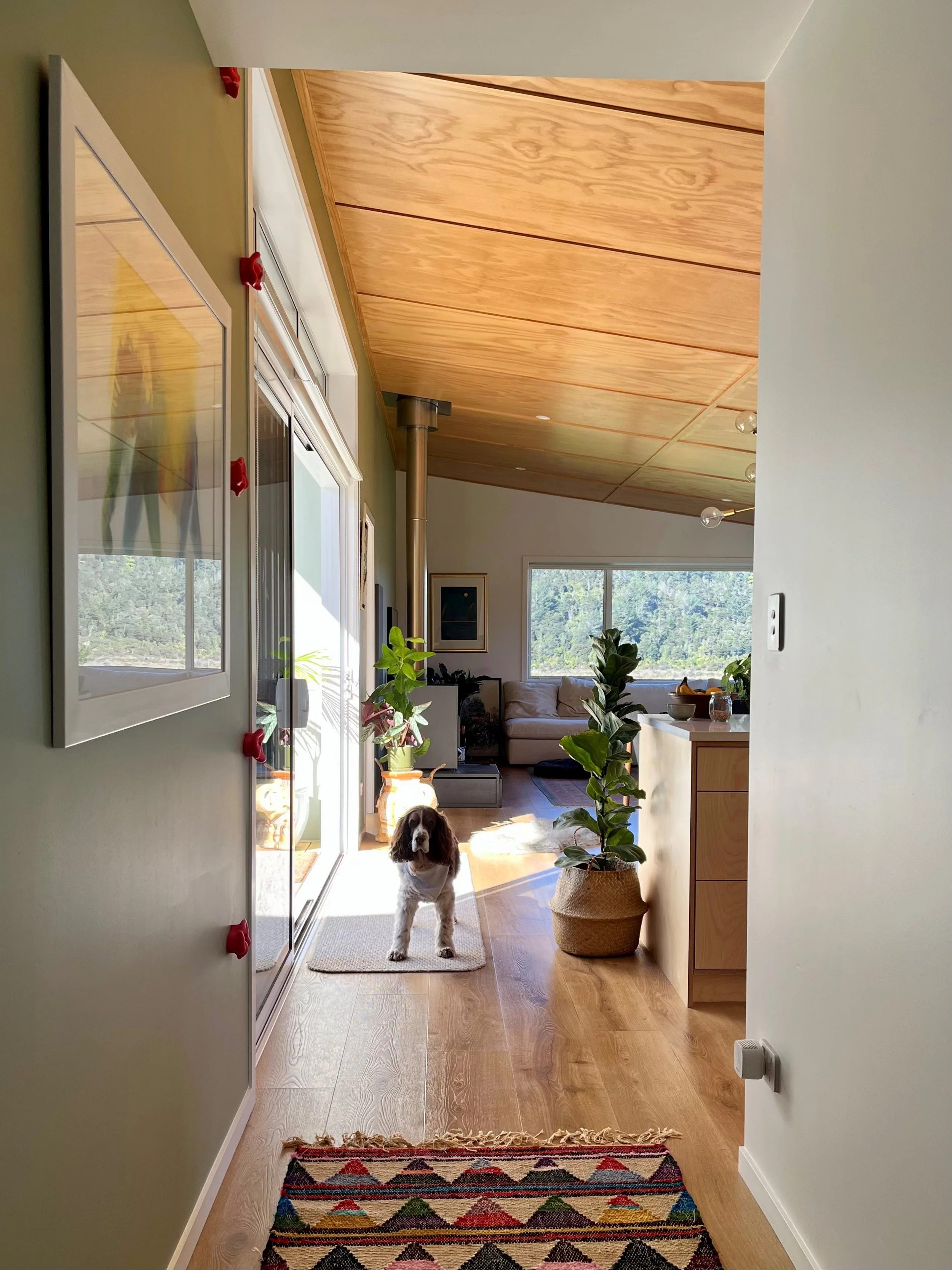 Common-Good Architects_The Little Big House_02.jpg