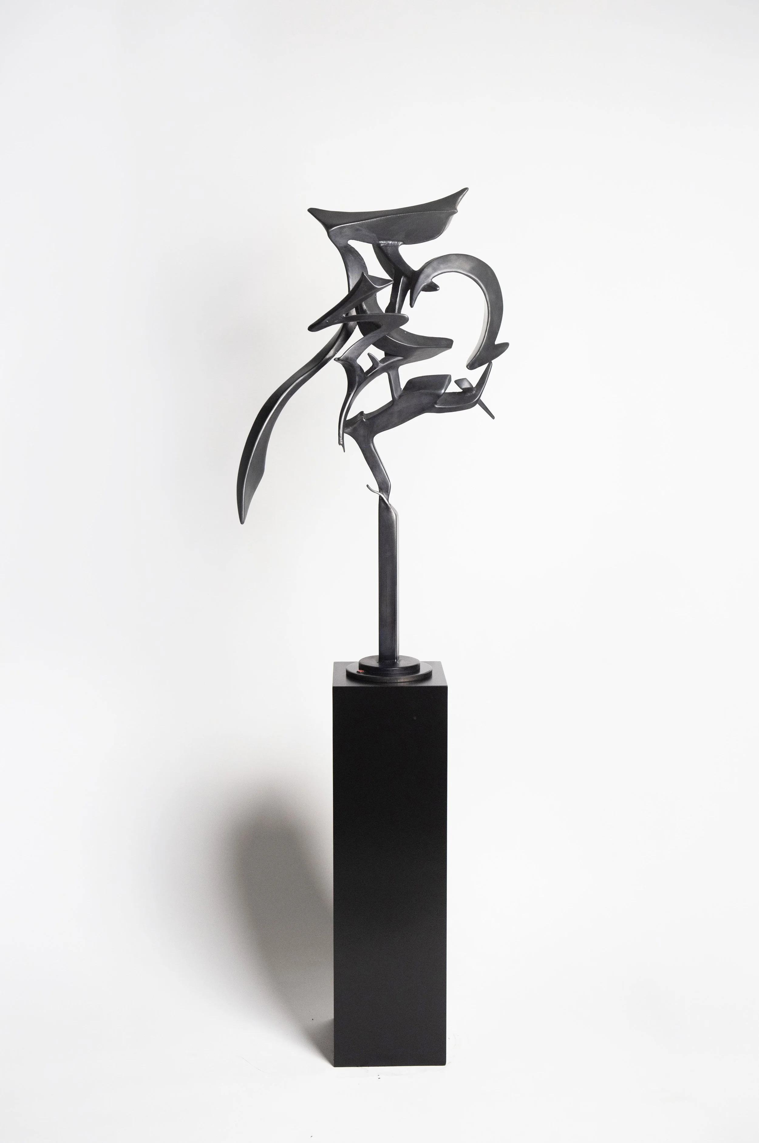 Northerly Winds, 2025