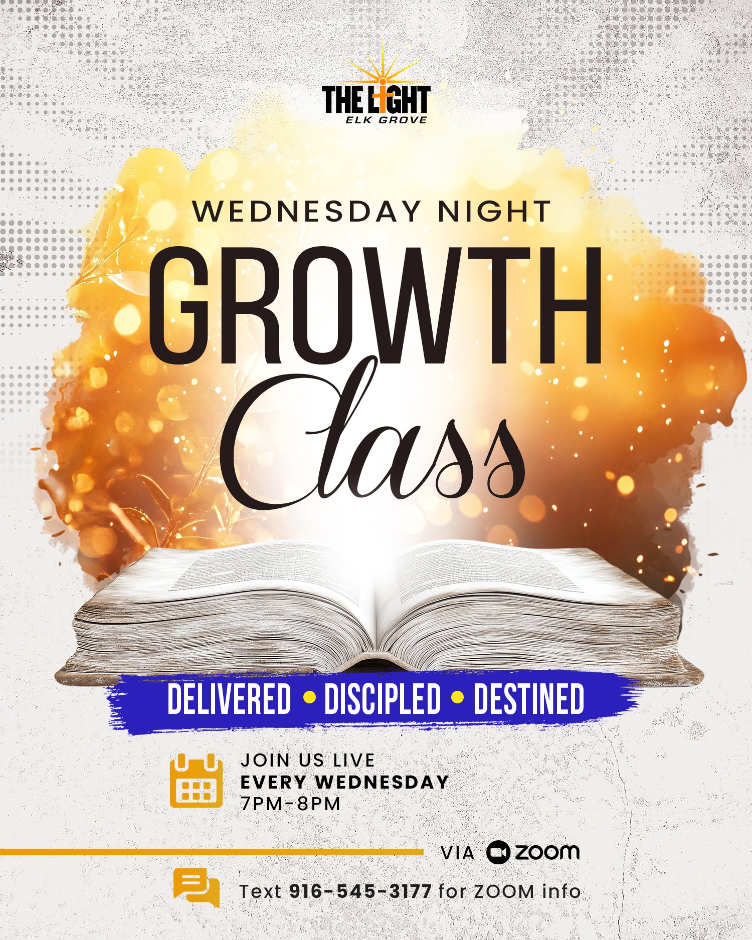 Weekly Online Bible Study