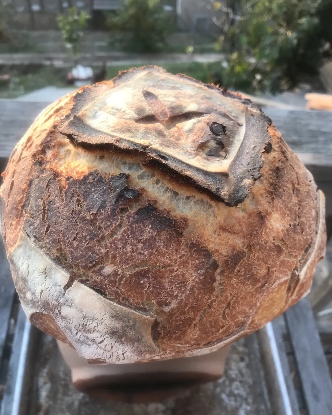 Yesterday was Ogia's (sourdough starter's name) feeding time hence, I decided to craft a boule. Here it is today, still warm... 😀 Yum Yum!