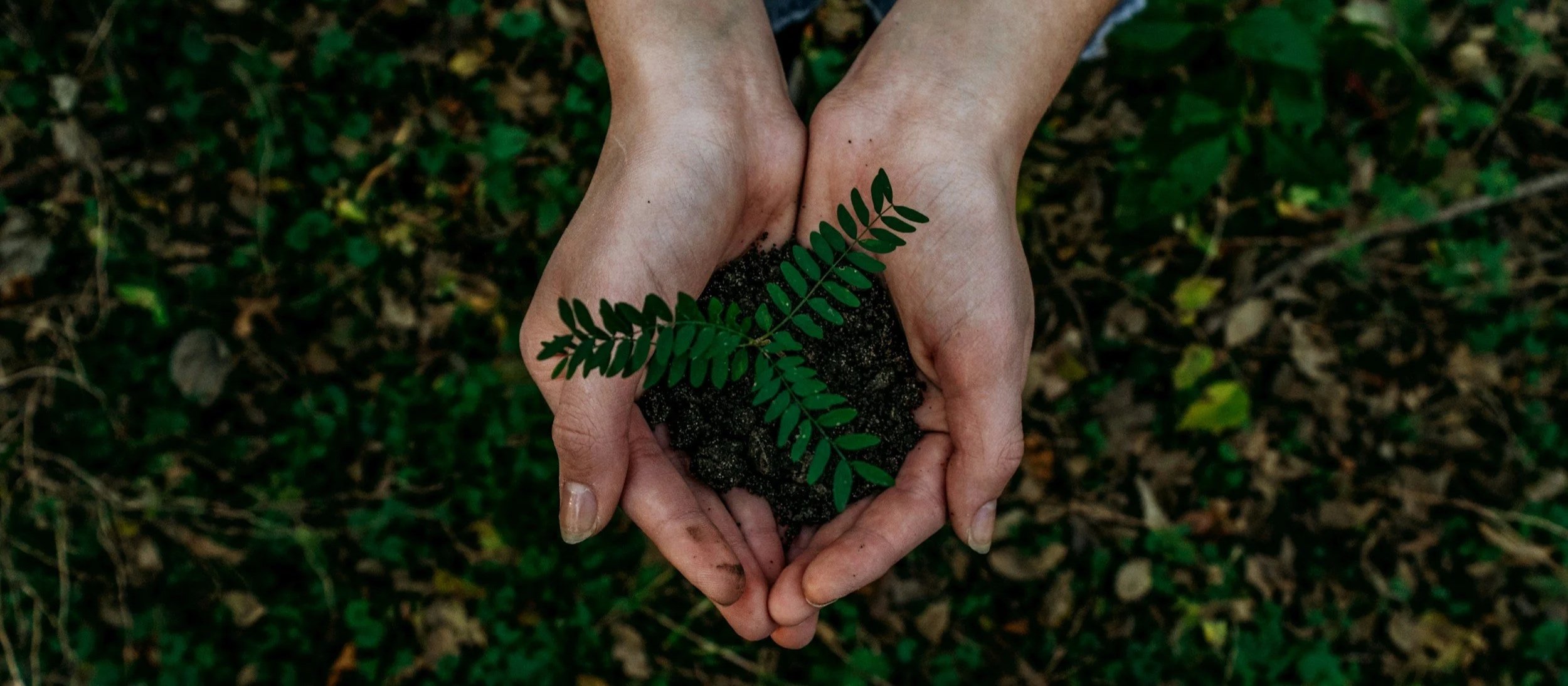 Free sustainable home guide Melbourne