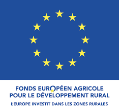 Logo fond européen FEDER.png