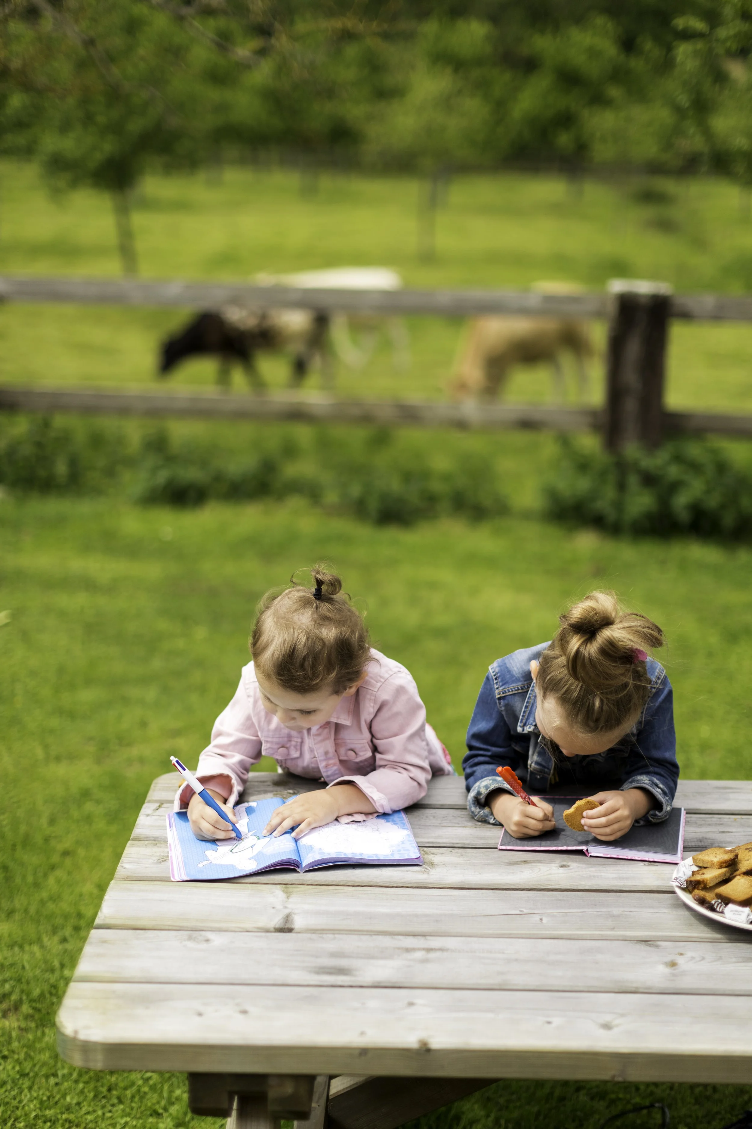 Enfants_au_dessin-Vincent_Rustuel___Calvados_Attractivite.JPG