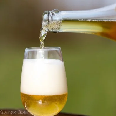 Apreval 50x50 copyright Arnaud Guérin Lithosphere (5 sur 13).jpg