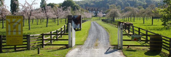 Bannière internet.png