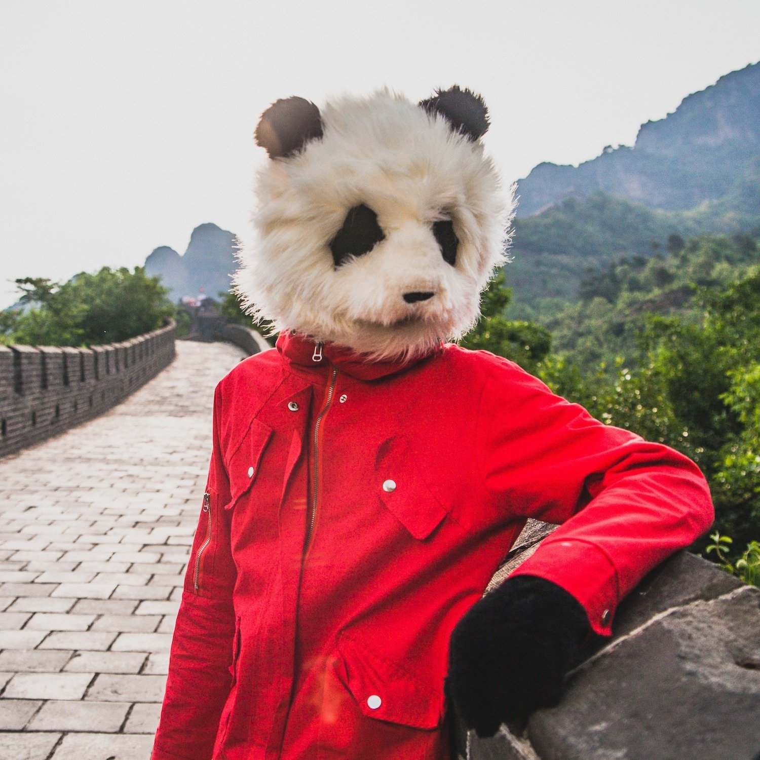 Steo Le Panda