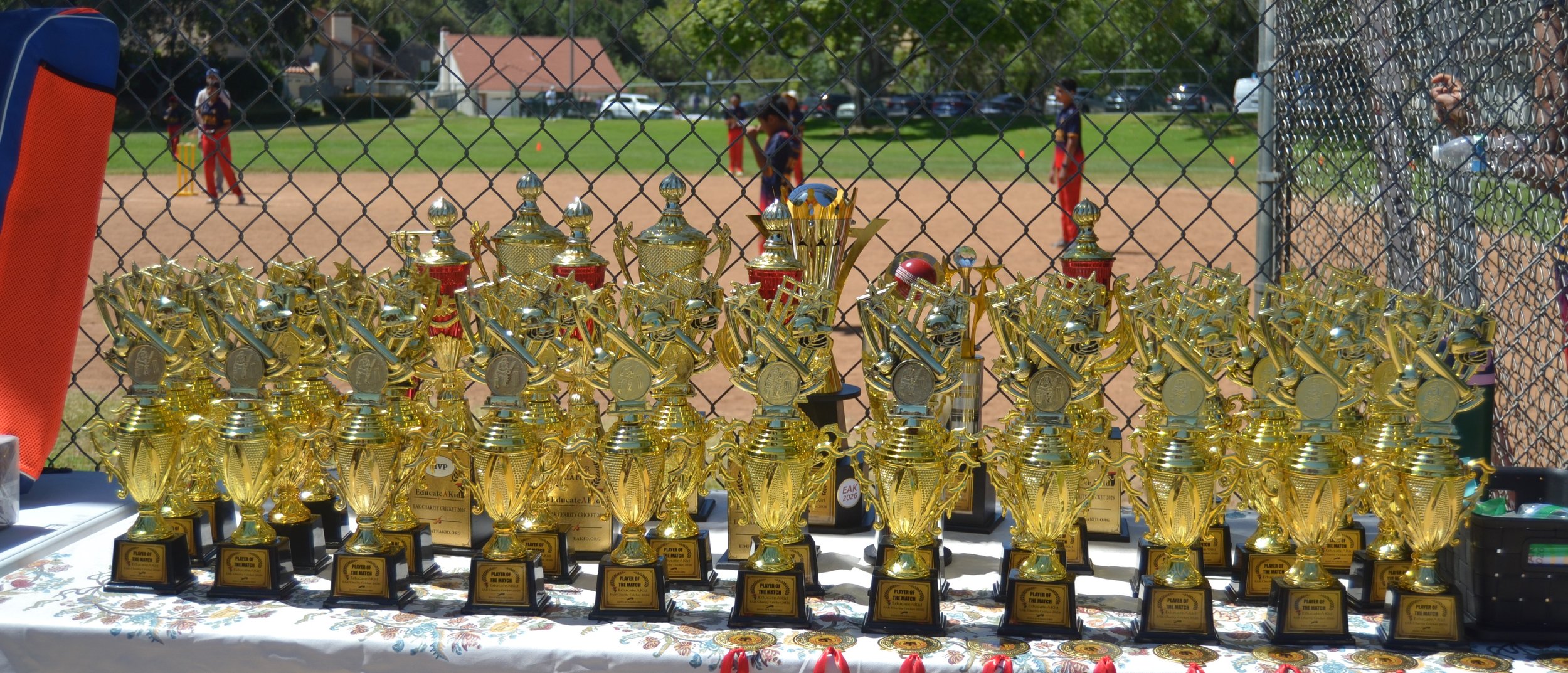 DSC_0132.JPG