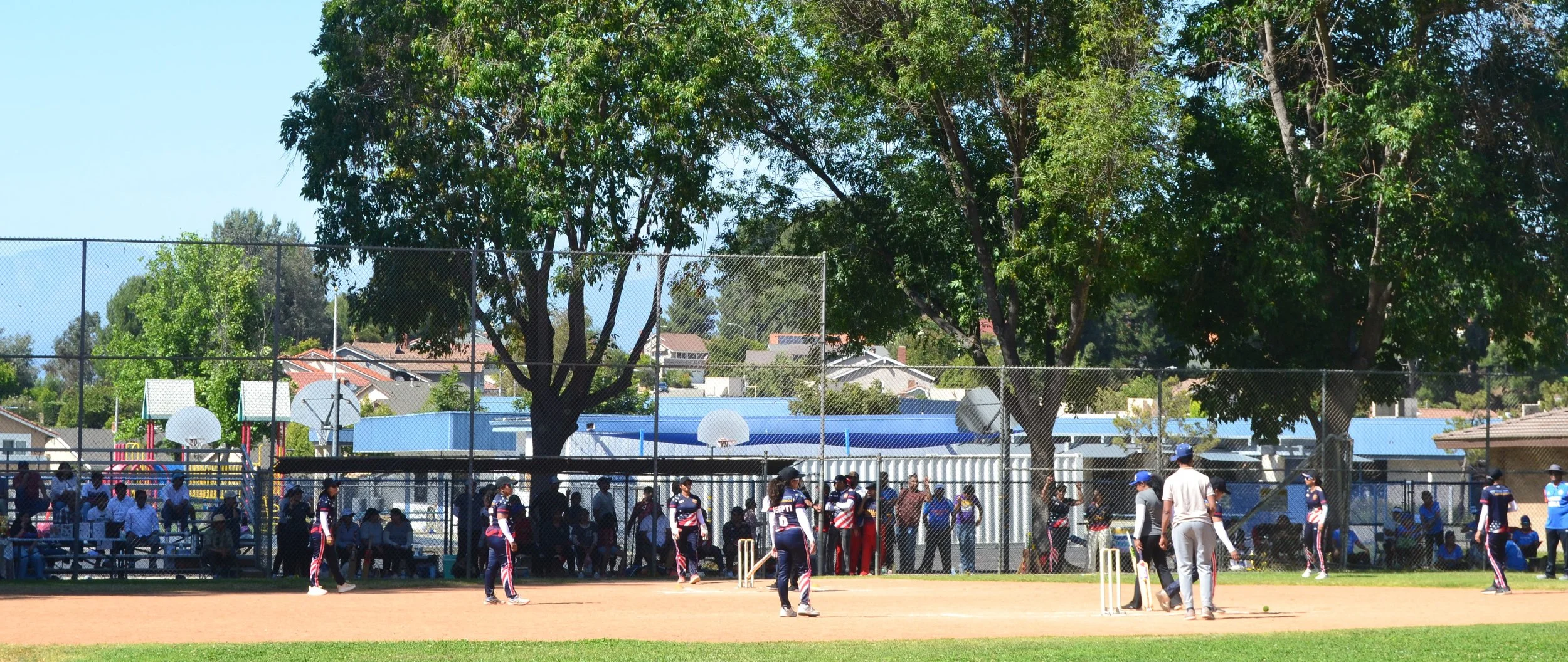 DSC_0512.JPG