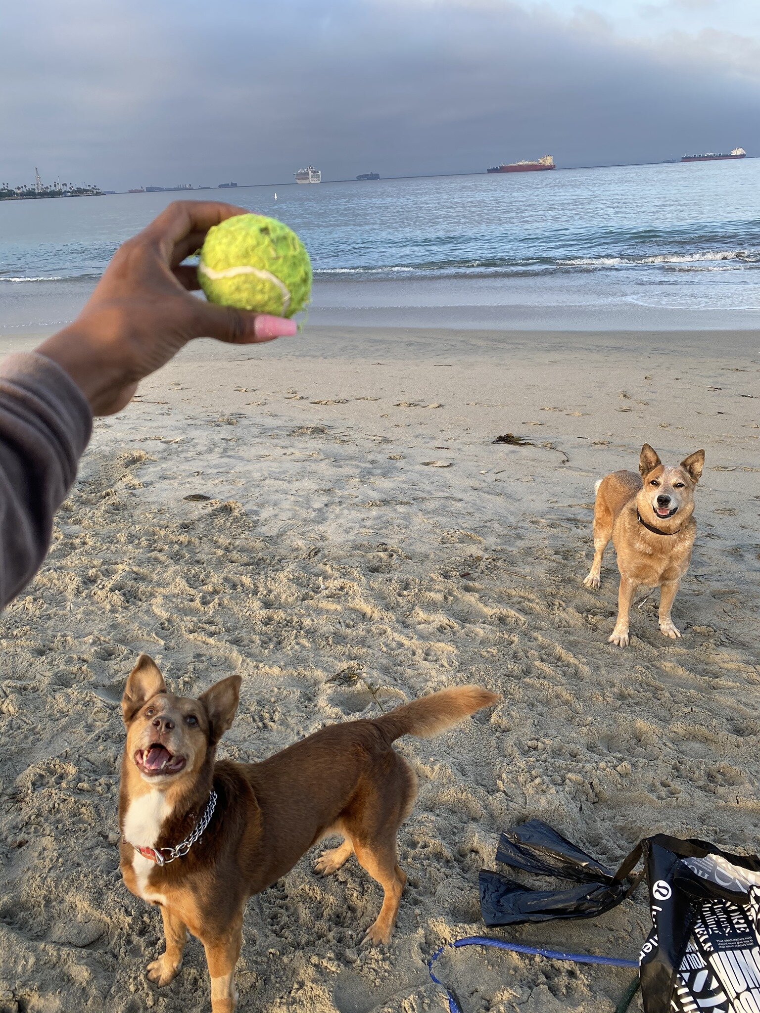243022214_554145785815525_8074584207596153164_n.jpeg