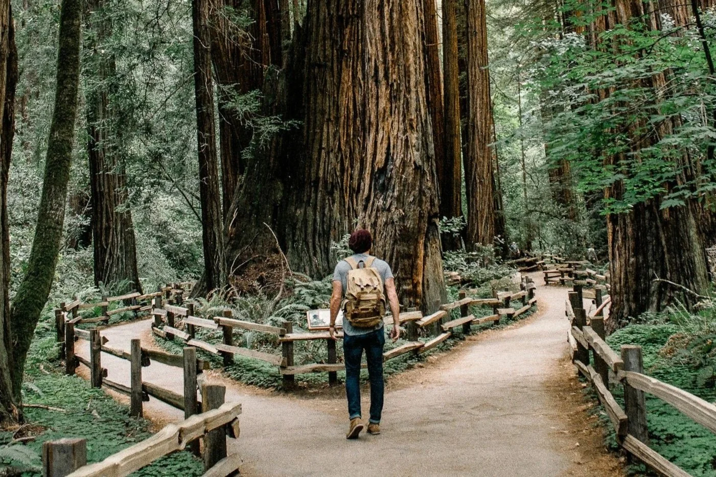 Do I Need A Will Or A Trust?