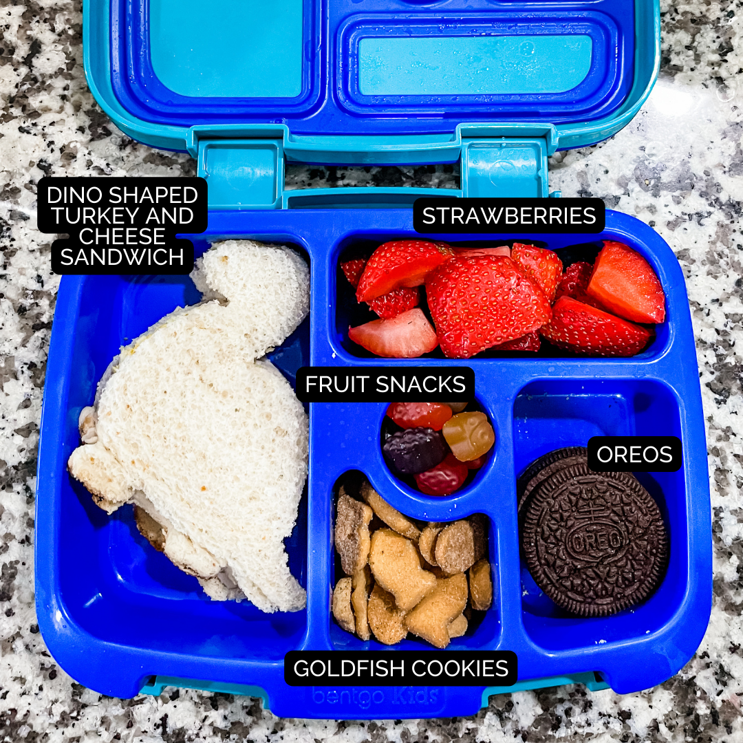5 Lunch Box Ideas for Kids - All Things Mamma