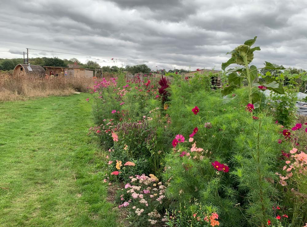 Vallis Farm-43583.jpg