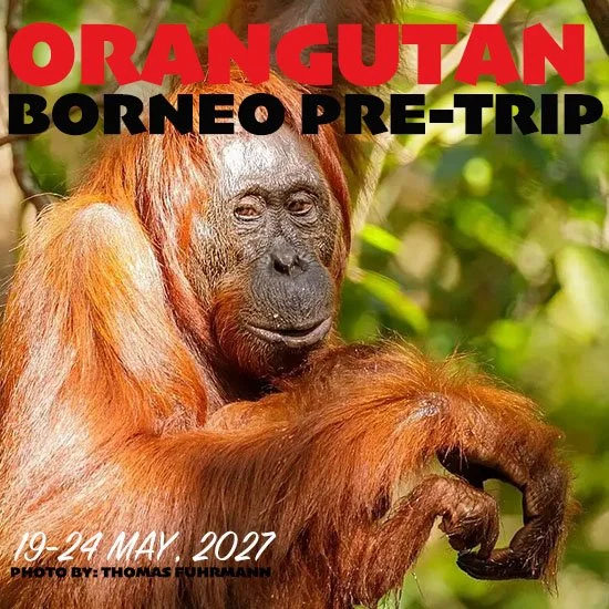pre-trip registration copy.jpg