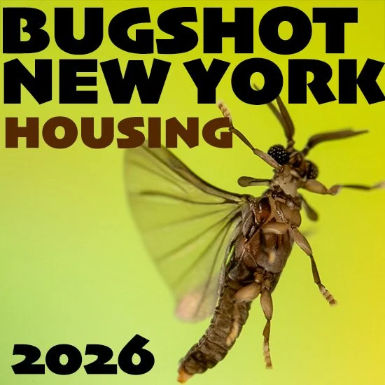 BugSHot registration housing.jpg