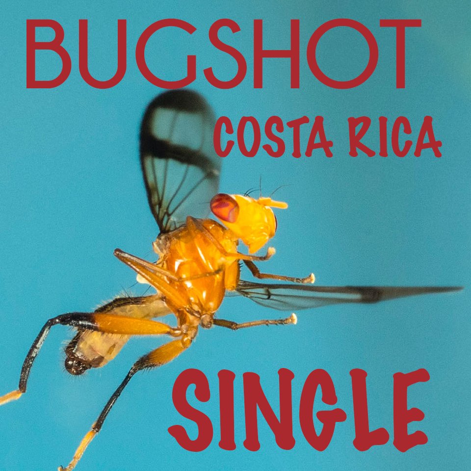 check outsingle.jpg