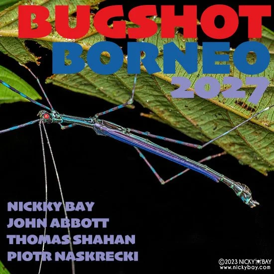 BugSHot registration copy.jpg