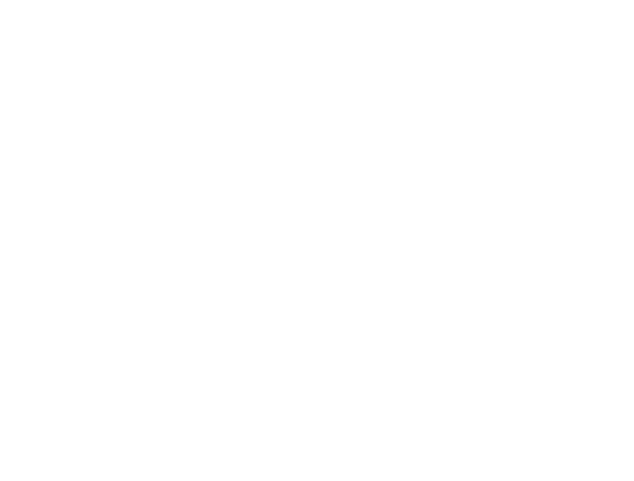 MAKSIMAGERY