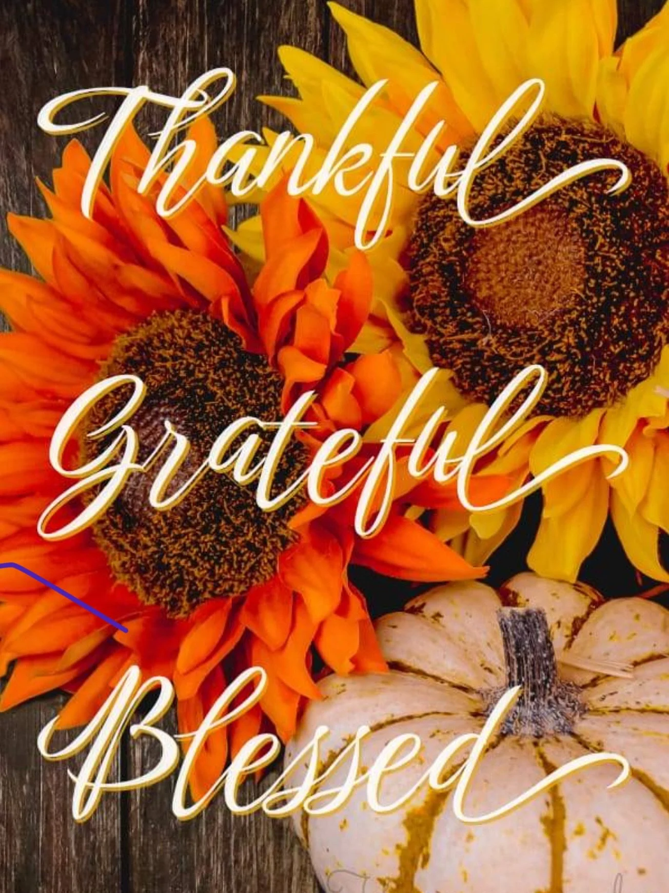 Thankful for my small family, friends, clients, this beautiful country we live in 

Wishing you all a Happy Thanksgiving 

From my home to yours 

#thanksgiving #thankful #kids #blessings