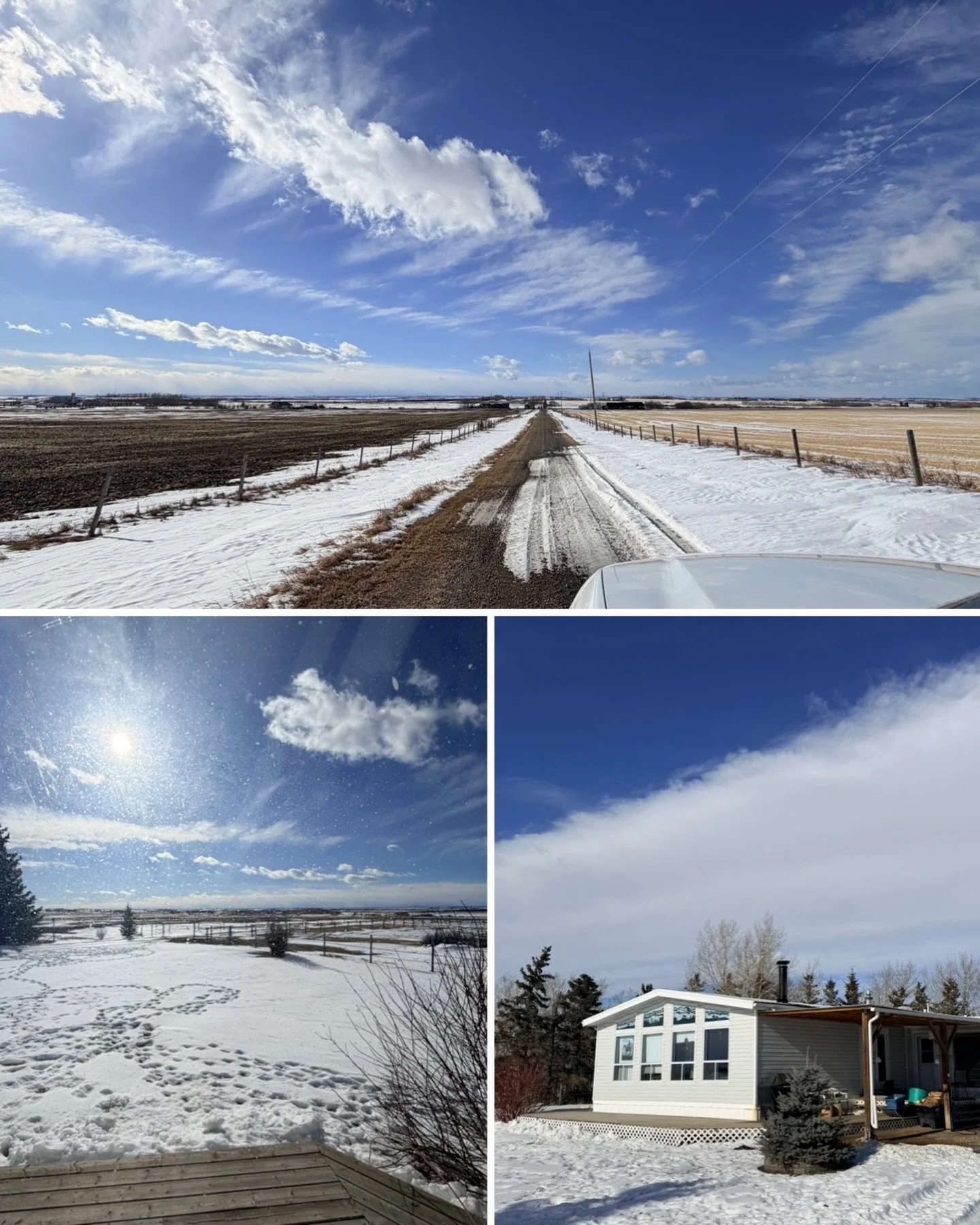 Didsbury. Beautiful drive to the country today visiting such a cute house with 6.5 acres of land, a shop, a barn, room for 3 horses

Not often do you get a chance to visit Didsbury but really enjoyed offering my home staging advice to prepare this pr