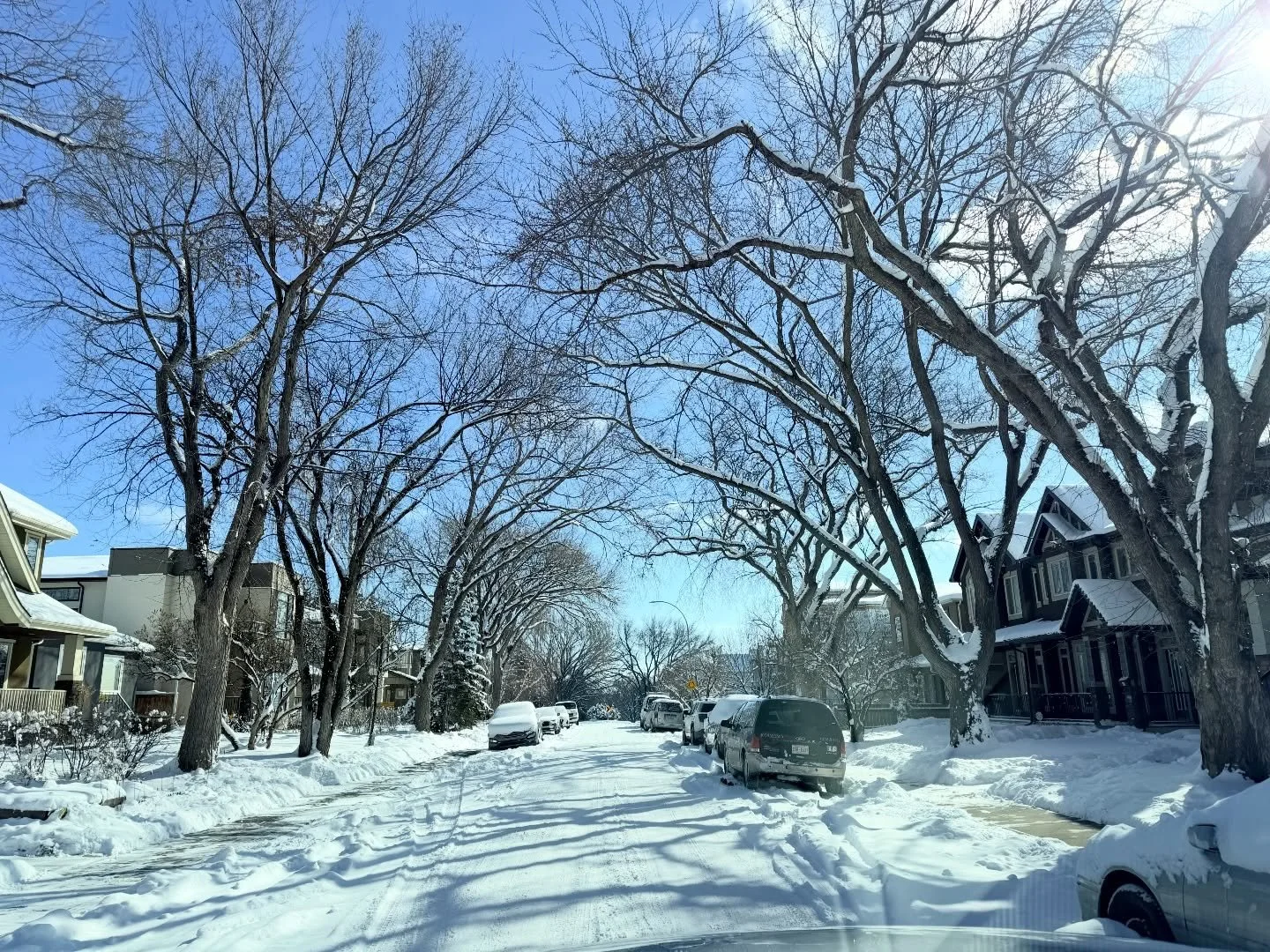 I know we were all not waiting for snow but it sure looked pretty this morning

Thank you @carlintherealtor for inviting me to prepare one of your listings for sale in this wonderful neighborhood

Always a pleasure to work with you

#listingcomingsoo