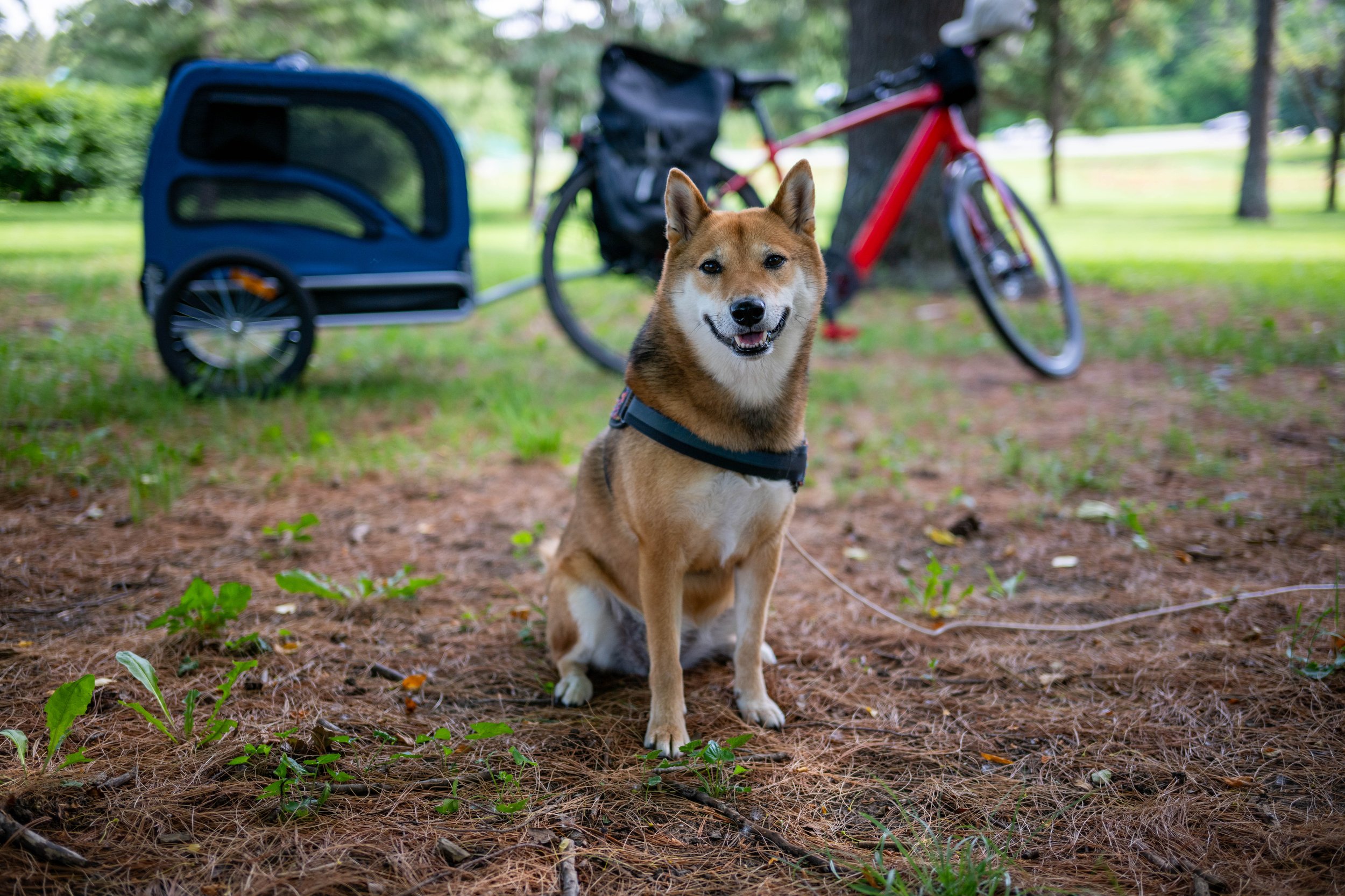 DSC_0522.jpg