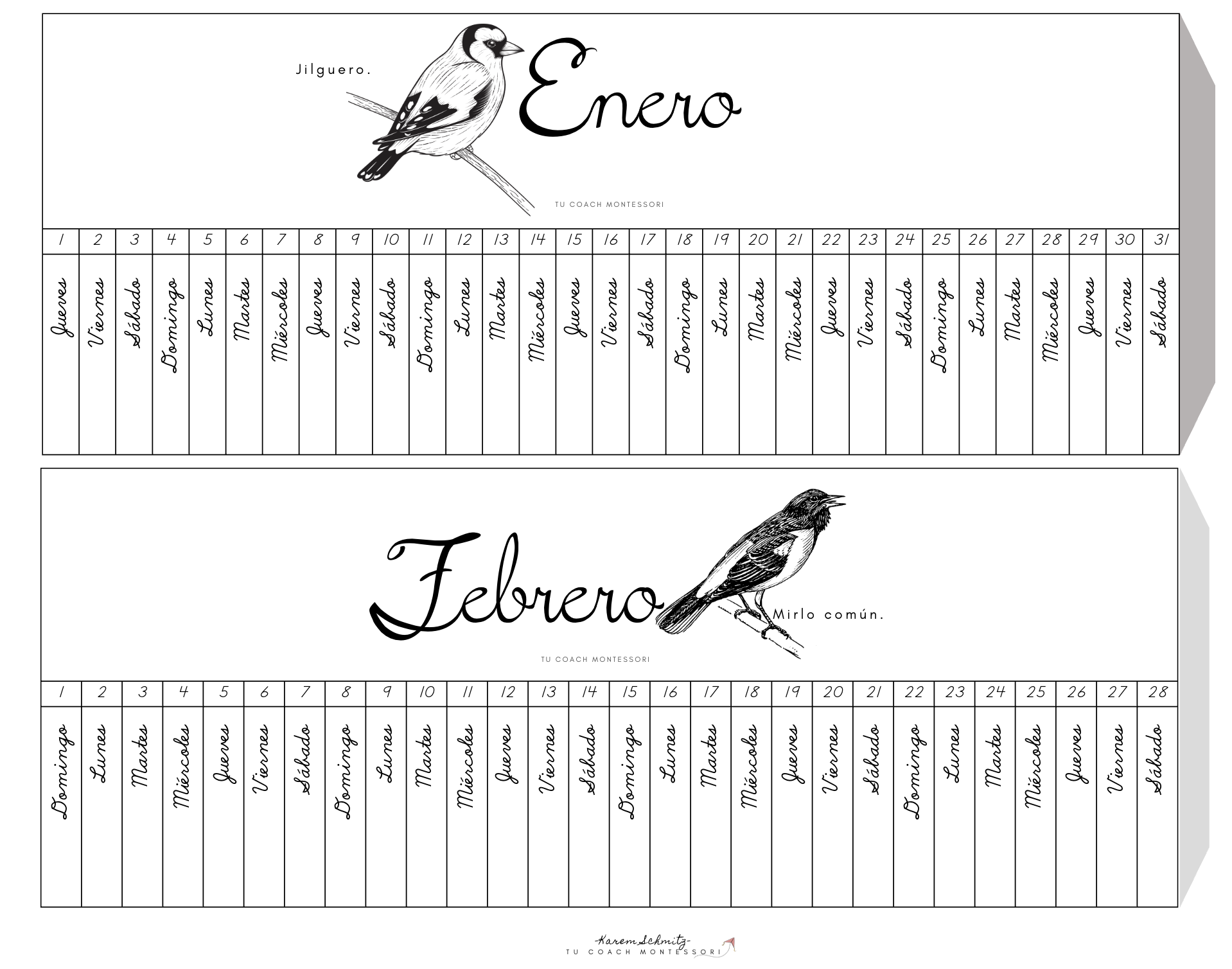 Captura de pantalla 2026-01-10 a la(s) 11.03.55 p.m..png