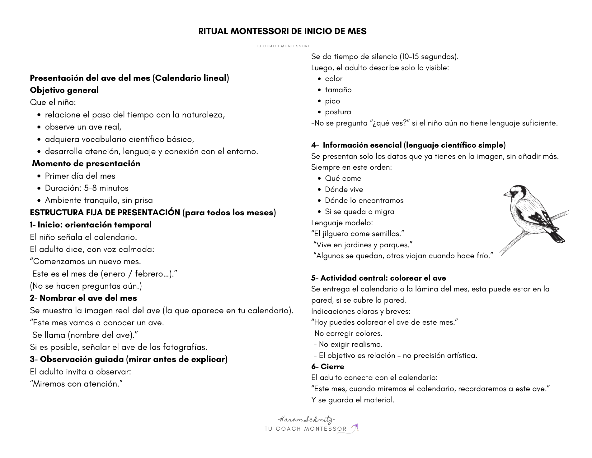 Captura de pantalla 2026-01-10 a la(s) 11.04.31 p.m..png