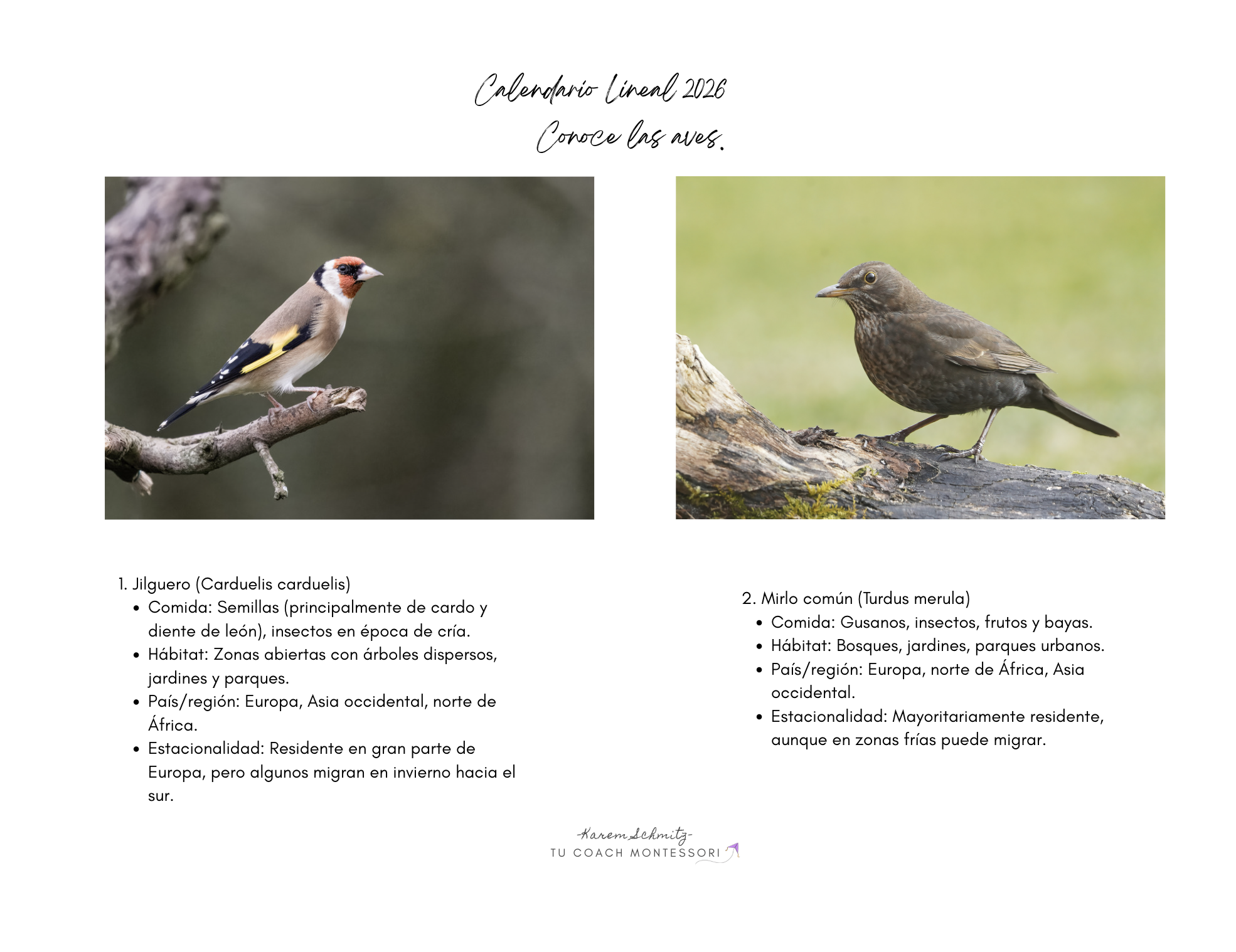 Captura de pantalla 2026-01-10 a la(s) 11.03.37 p.m..png