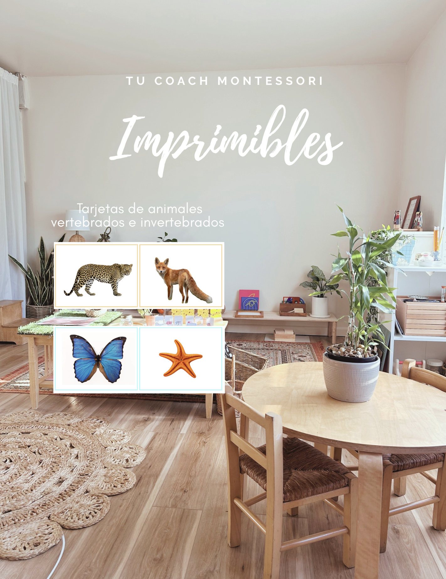 Captura de pantalla 2026-04-13 a la(s) 2.39.35 p.m..png