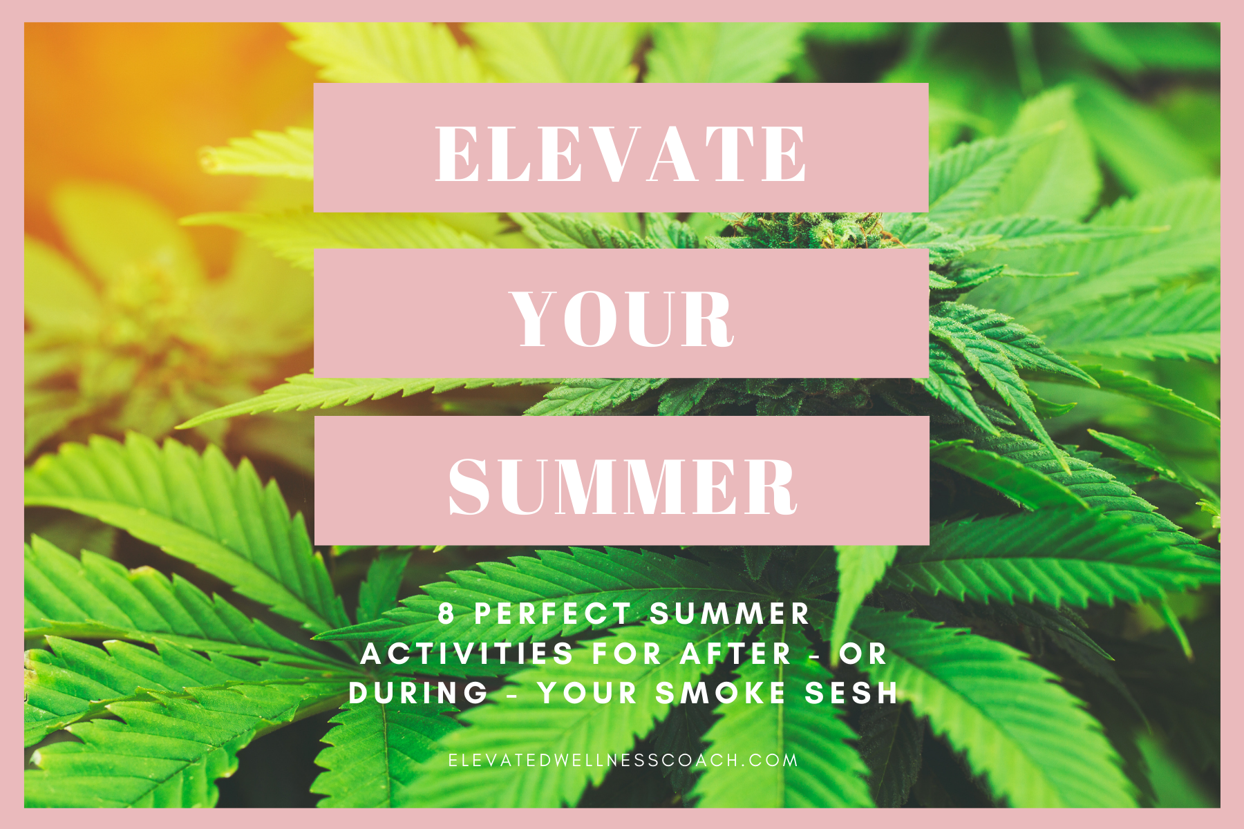 Elevate Your Summer