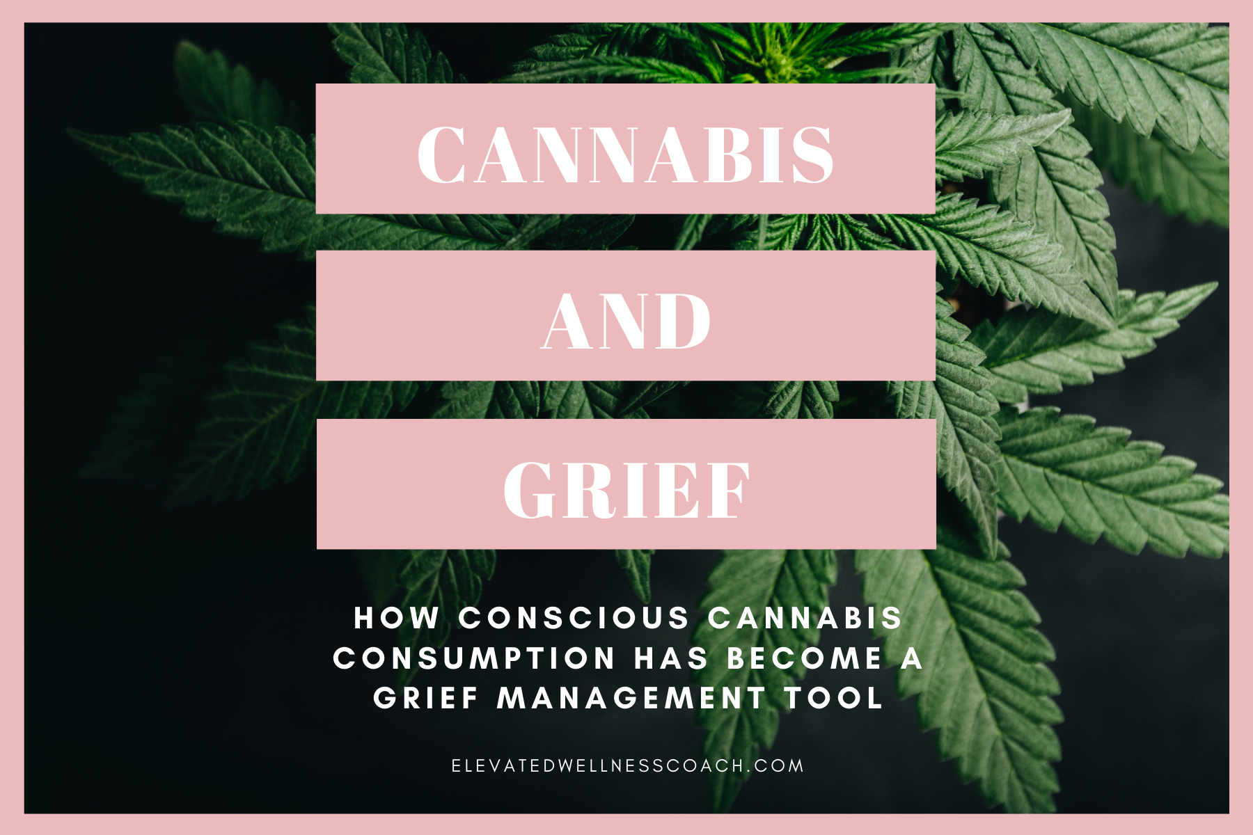 Cannabis &amp; Grief