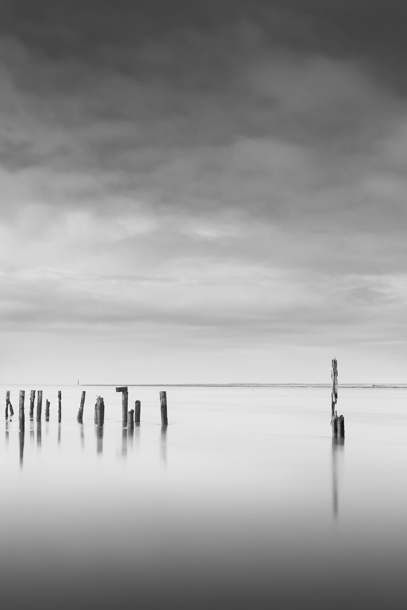 Brunswick Pilings