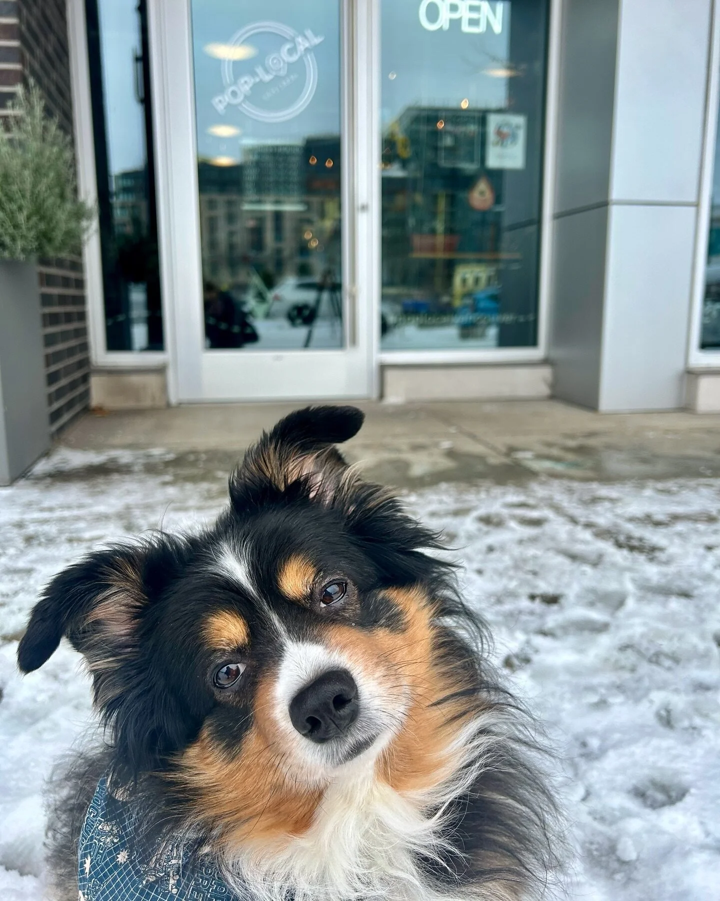 Pop-Local will be open for limited hours today! βοΈ
Keep an eye on our stories if you are thinking of coming down for some beer & snacks π» 
•
•
•
#pnwonderland #shoplocal #poplocalvancouver