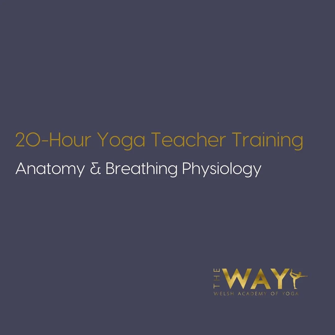 20-HOURS YTT
A functional approach for yoga teachers to learn how to master anatomy, movement and breathwork with @danmorganwellness

20-Hours part-time study or pick &lsquo;n&rsquo; mix options to study individual topics.

You&rsquo;ll discover that
