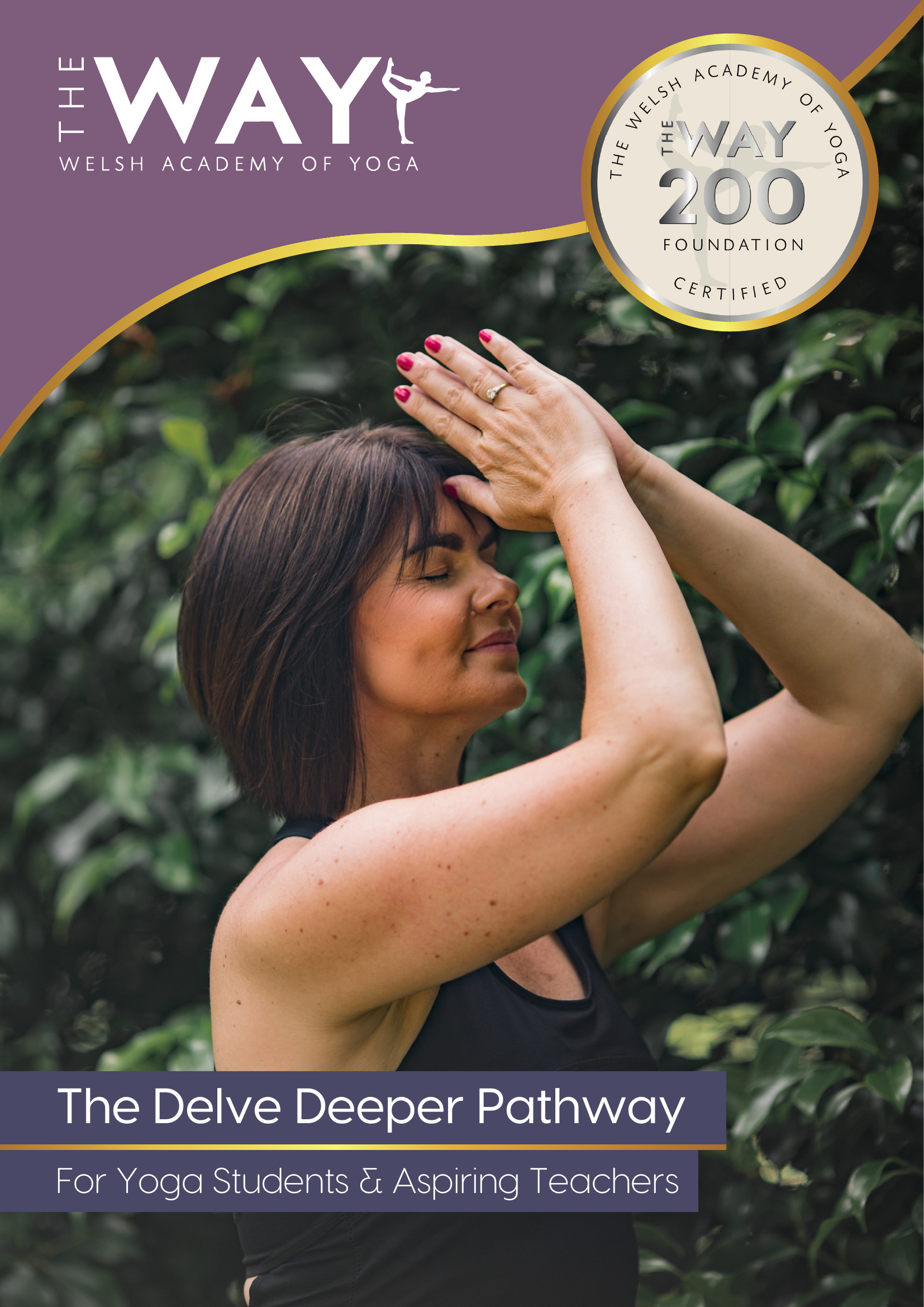 The Delve Deeper Pathway