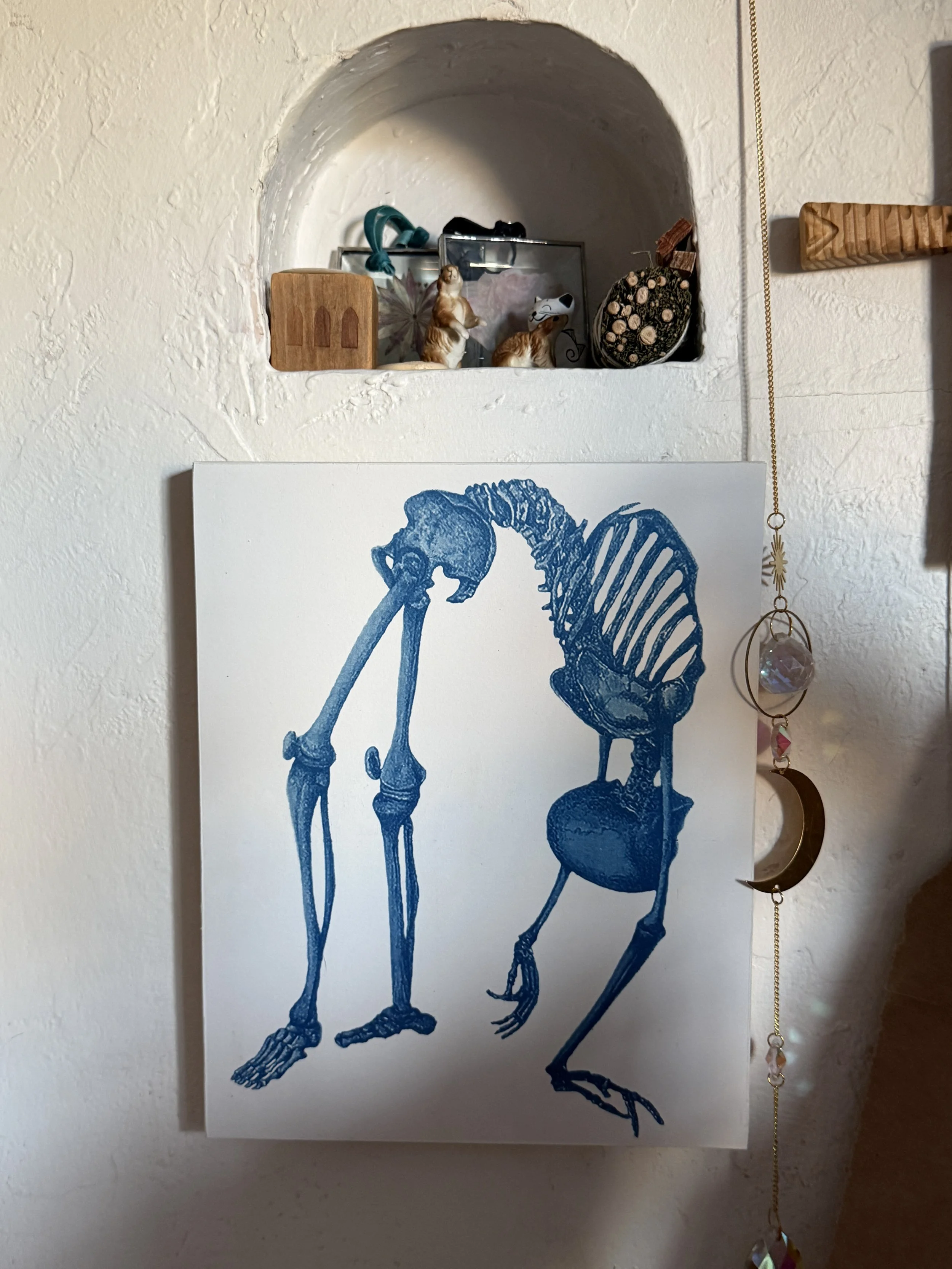A Curious Anatomy 8"x10"