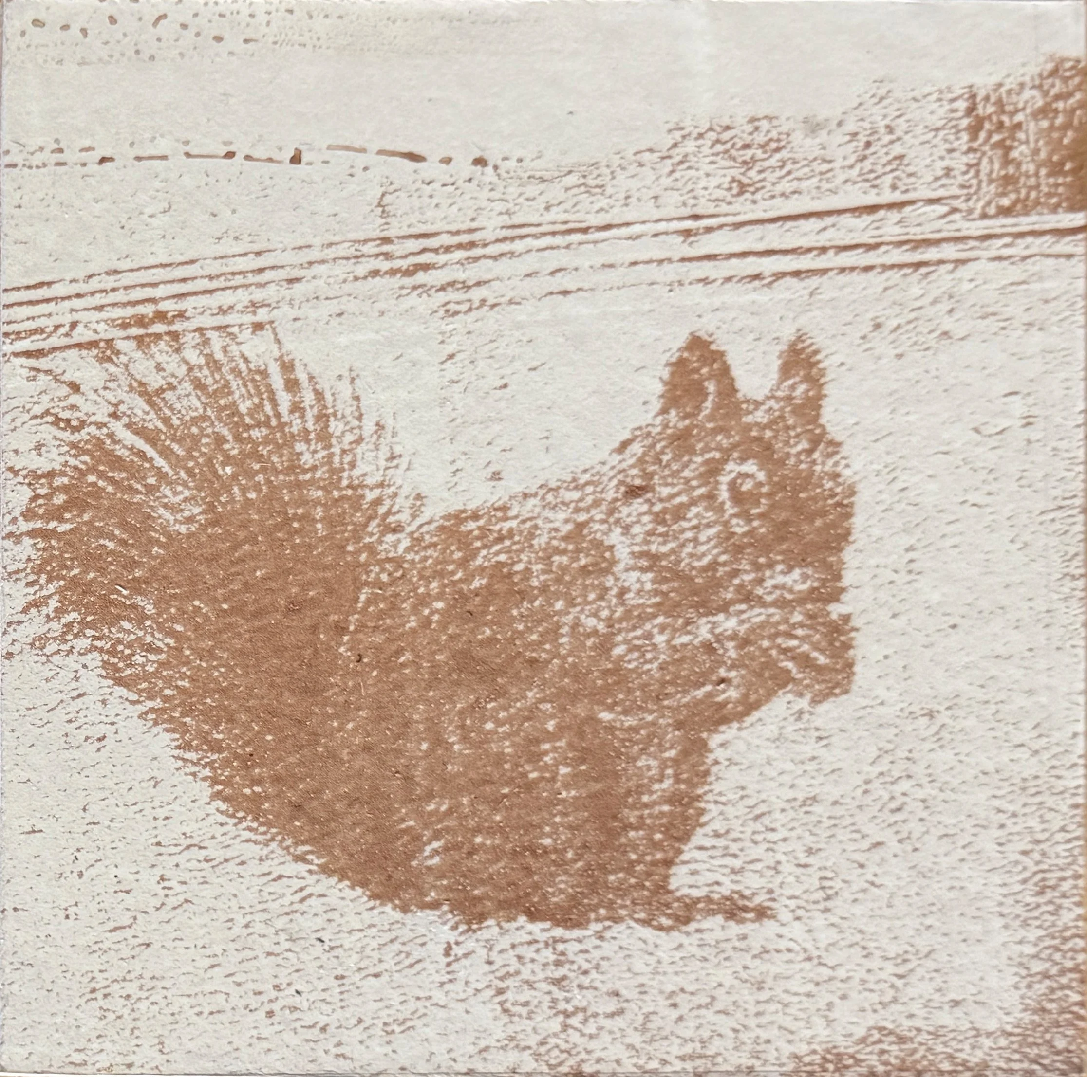 Squirrel.jpg